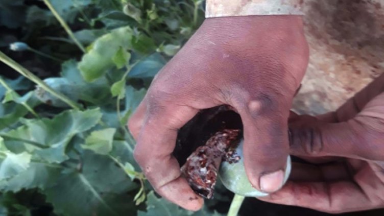 Снимка: архив, БГНЕС