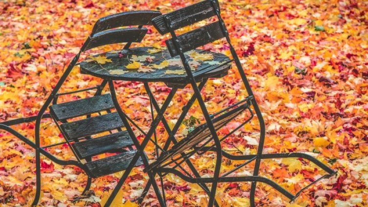 Снимка: Pixabay