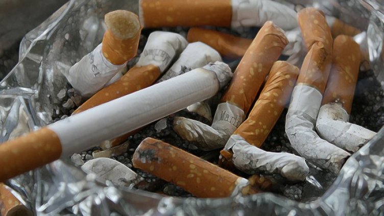 Снимка: Pixabay