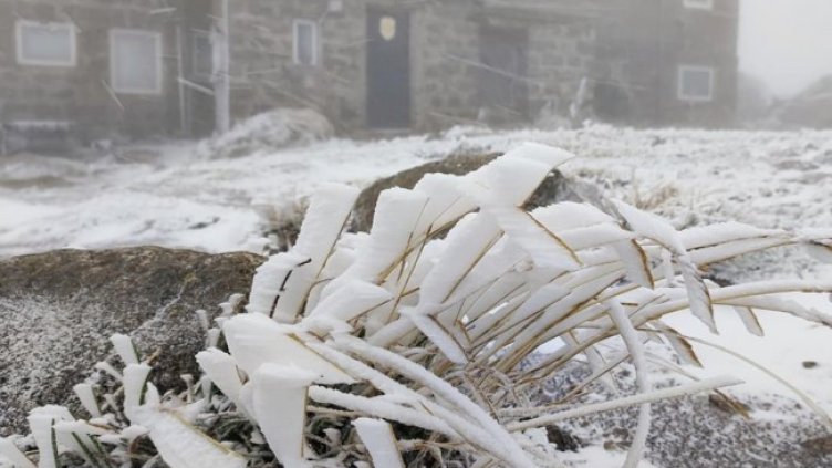 Снимка: Facebook/Заслон "Черни връх", 2290 м