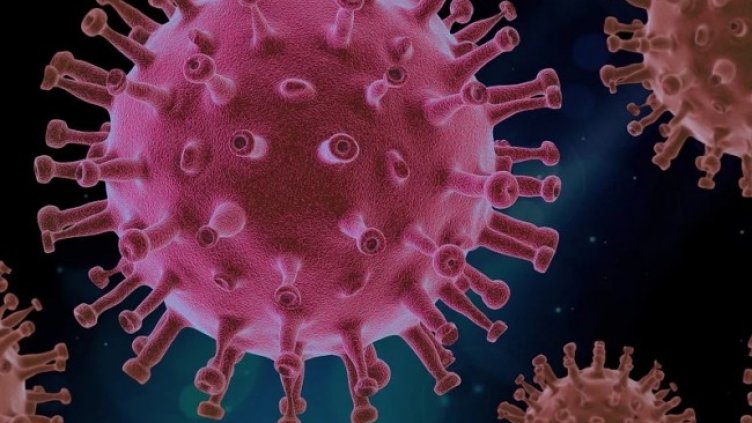 Снимка: Pixabay