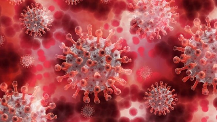 Снимка: Pixabay