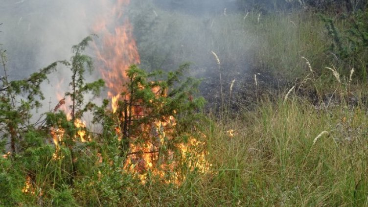 Снимка: БГНЕС