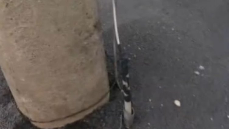 Снимка: кадър, БНТ