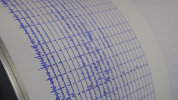 Снимка: архив, БГНЕС