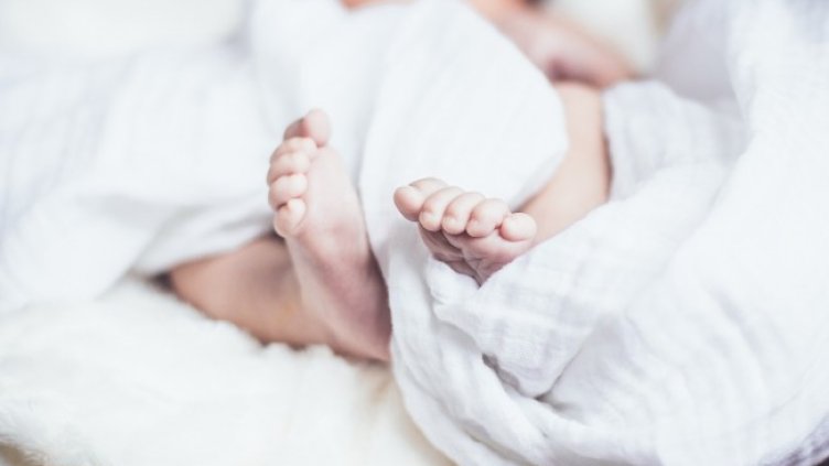 Снимка: Pixabay