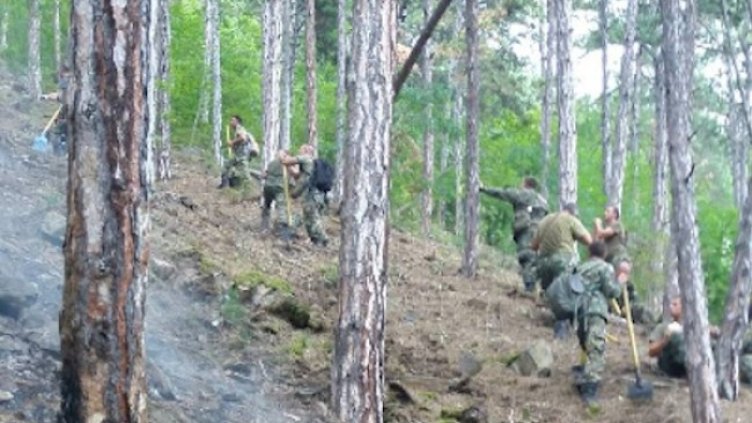 Снимка: БГНЕС