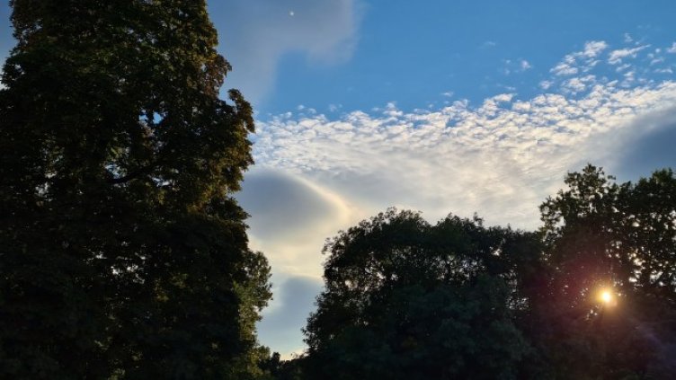 Снимка: архив, БГНЕС