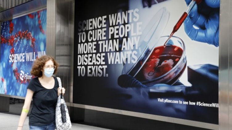 Снимка: архив, БГНЕС