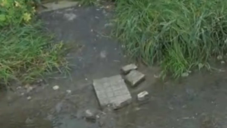 Снимка: кадър, БНТ