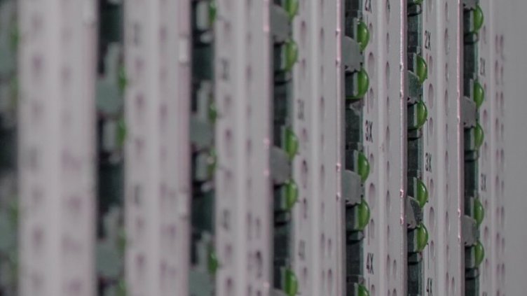 Снимка: Pixabay