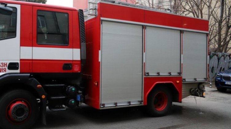 Снимка: БГНЕС