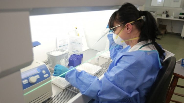 Снимка: Димитър Кьосемарлиев, Dnes.bg