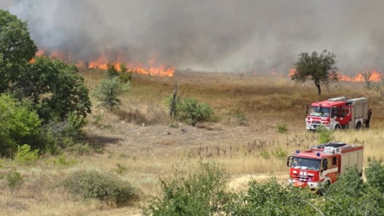 Снимка: БГНЕС, архив