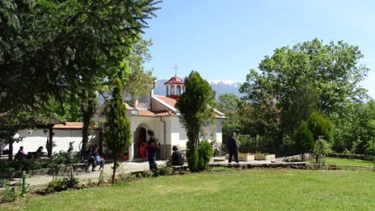 Снимка: БГНЕС