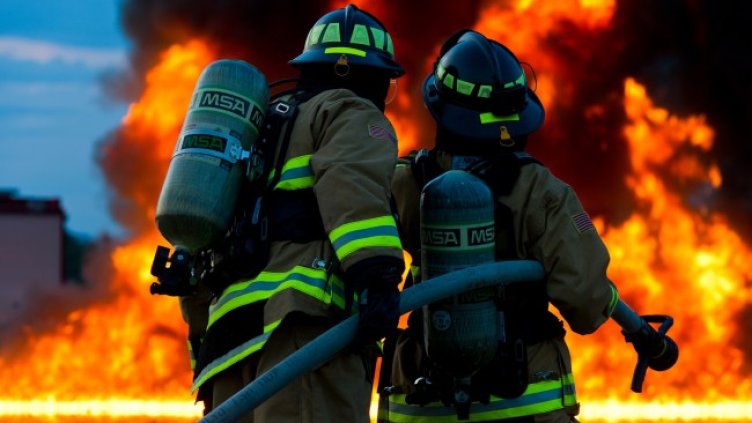 Снимка: Pixabay