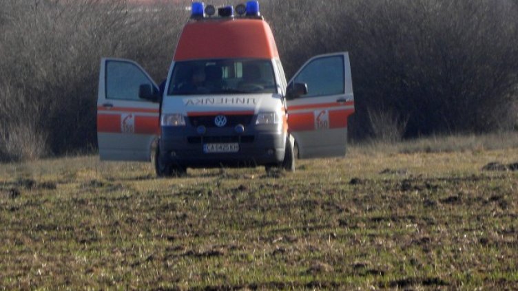 Снимка: архив, БГНЕС