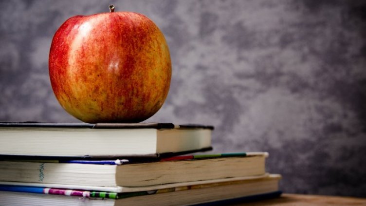 Снимка: Pixabay