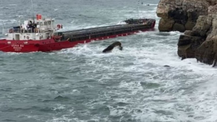 Снимка: Bulgaria ON AIR