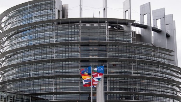 Снимка: архив, БГНЕС