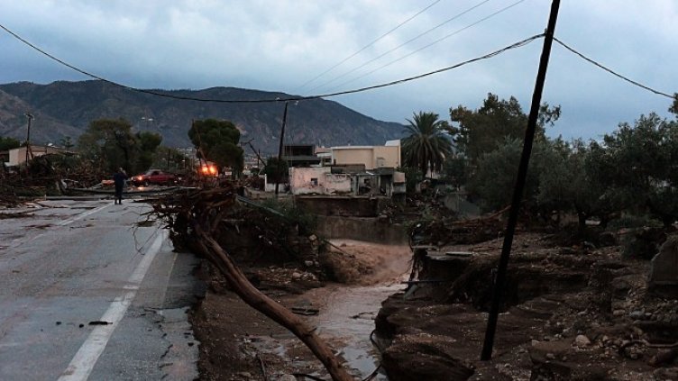 Снимка: архив, БГНЕС