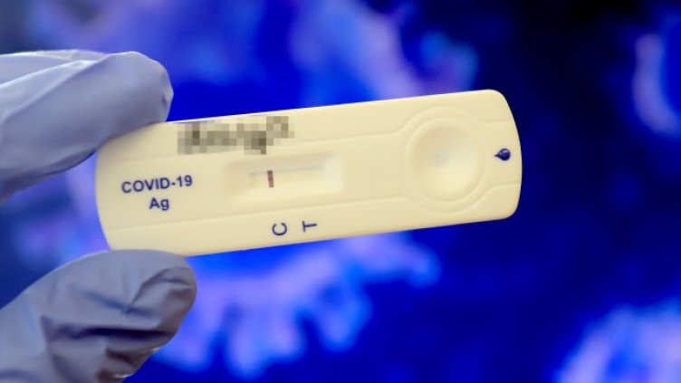 Снимка: архив, БГНЕС