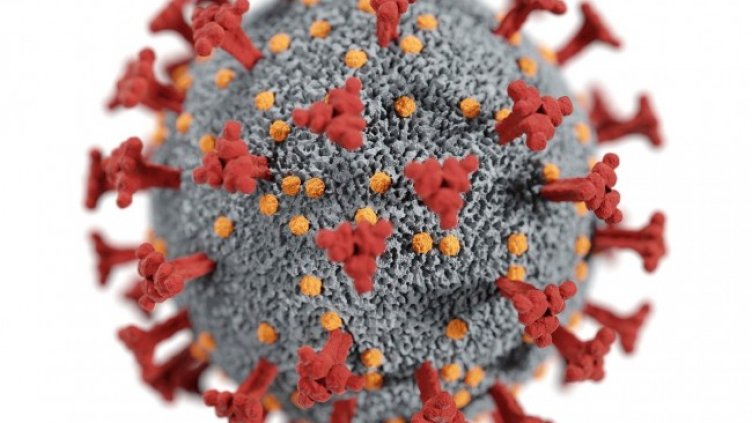 Снимка: Pixabay