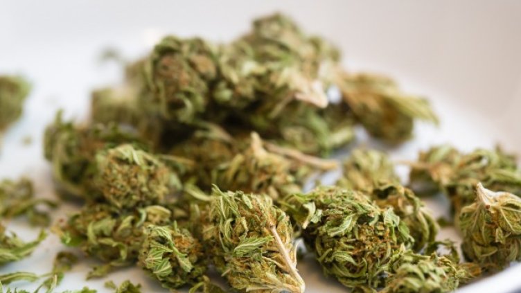 Снимка: Pixabay