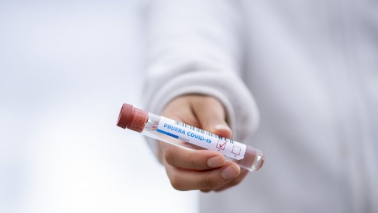 Снимка: Pixabay