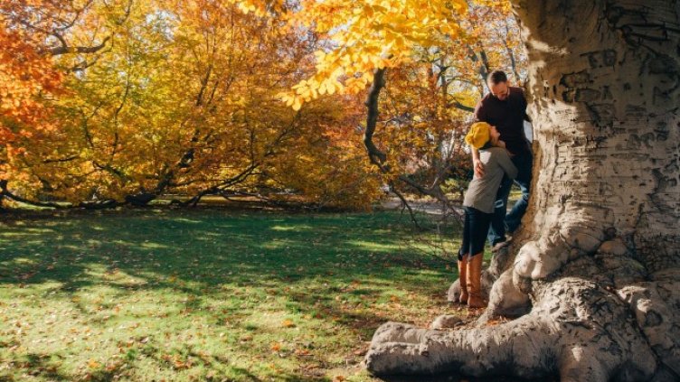 Снимка: Pixabay