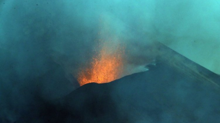 Снимка: архив, БГНЕС