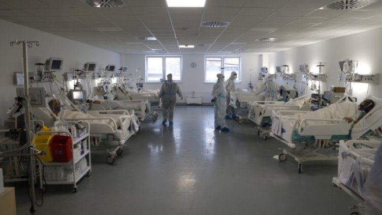 Снимка: архив, БГНЕС