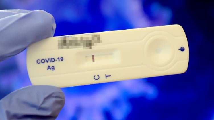 Снимка: архив, БГНЕС