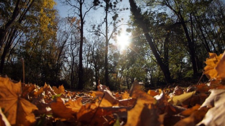 Снимка: архив, БГНЕС