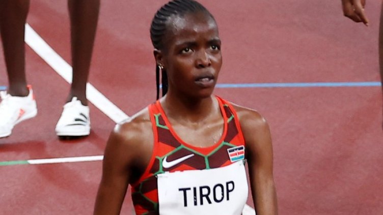 Снимка: архив, БГНЕС