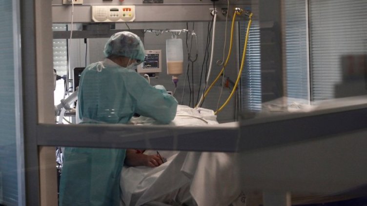 Снимка: архив, БГНЕС