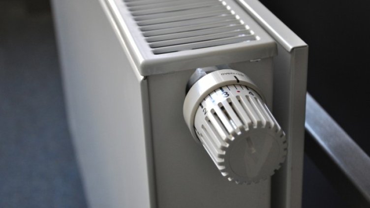 Снимка: Pixabay