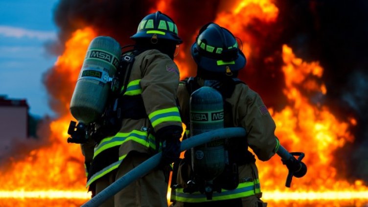 Снимка: Pixabay