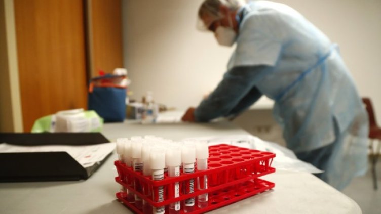 Снимка: архив, БГНЕС