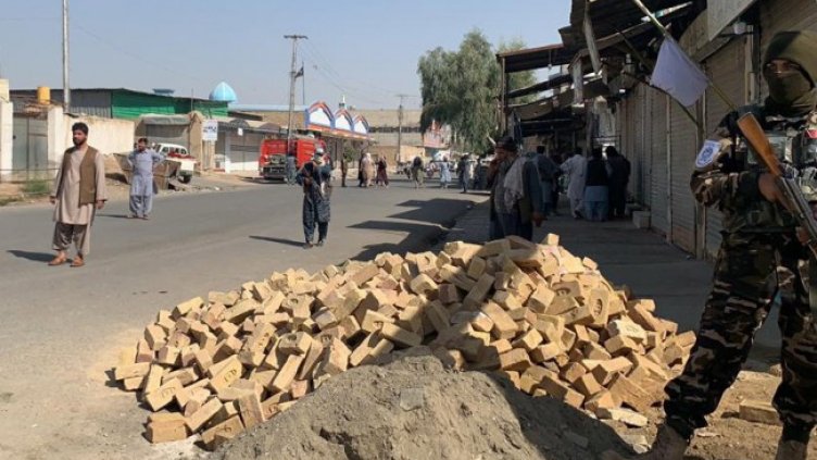 Снимка: архив, БГНЕС