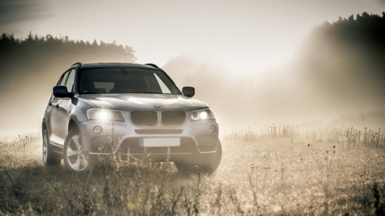 Снимка: Pixabay