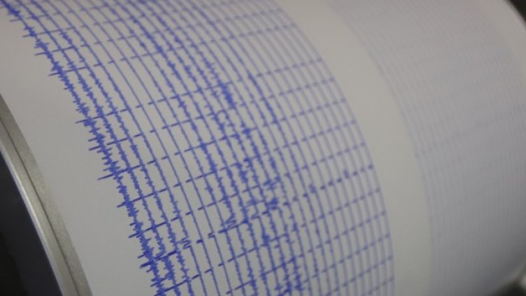 Снимка: архив, БГНЕС