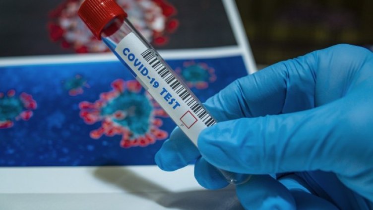 Снимка: Pixabay