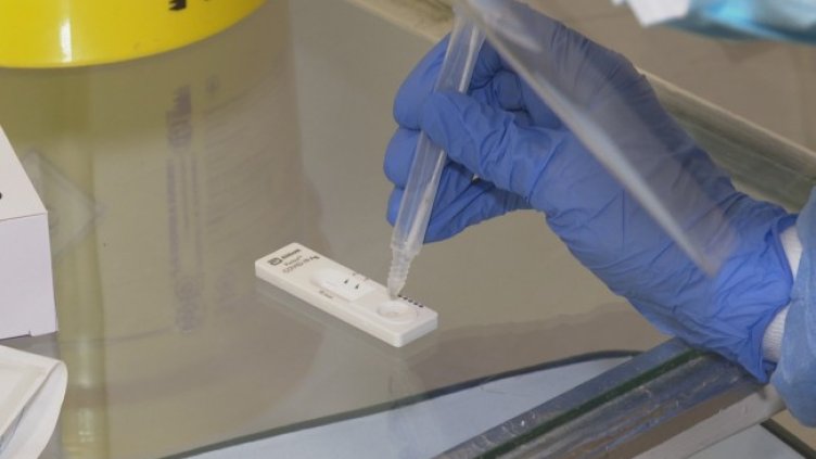 Снимка: БГНЕС