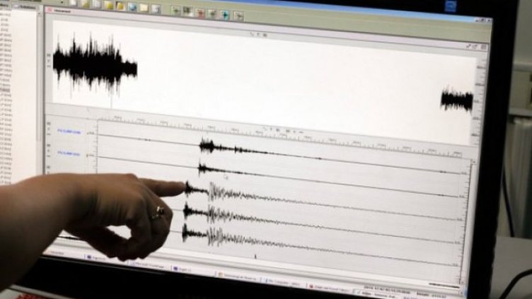 Снимка: архив, БГНЕС