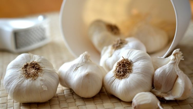 Снимка: Pixabay