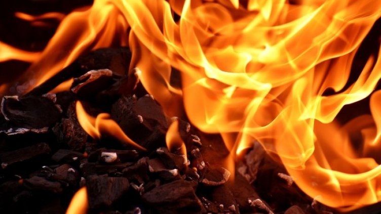 Снимка: Pixabay