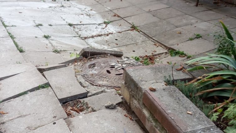 Снимка: Helpbook