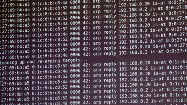 Снимка: архив, БГНЕС