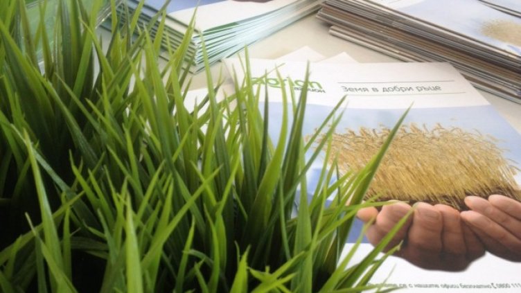 Цените на нивите скачат заради промоционални оферти